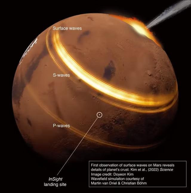 1-abq7157-image-credit-eth-zurich-doyeon-kim-martin-van-driel-christian-boehm.jpeg