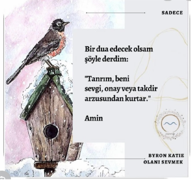Kendi g&uuml;zelliğinden vazge&ccedil;erek d&uuml;nyayı g&uuml;zelleştiren karahindiba - Resim : 1