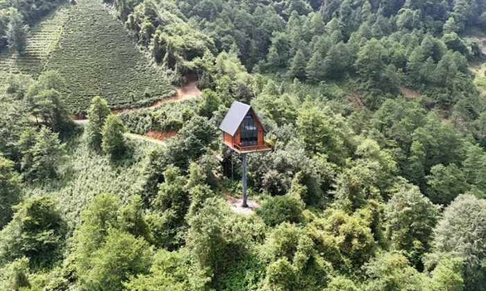 rize1.webp