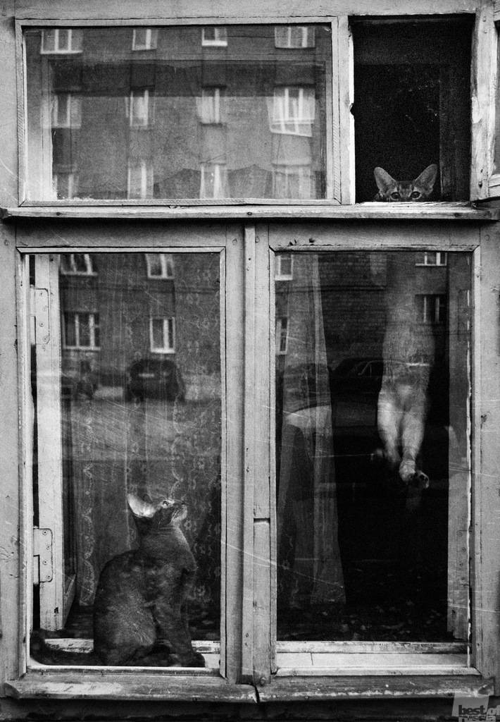 Ruslar Neye Gülüyor - Fotoğraf: 4