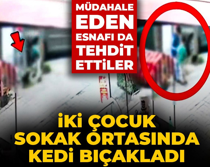 İki çocuk sokak ortasında kedi bıçakladı: Müdahale eden esnafı da tehdit ettiler