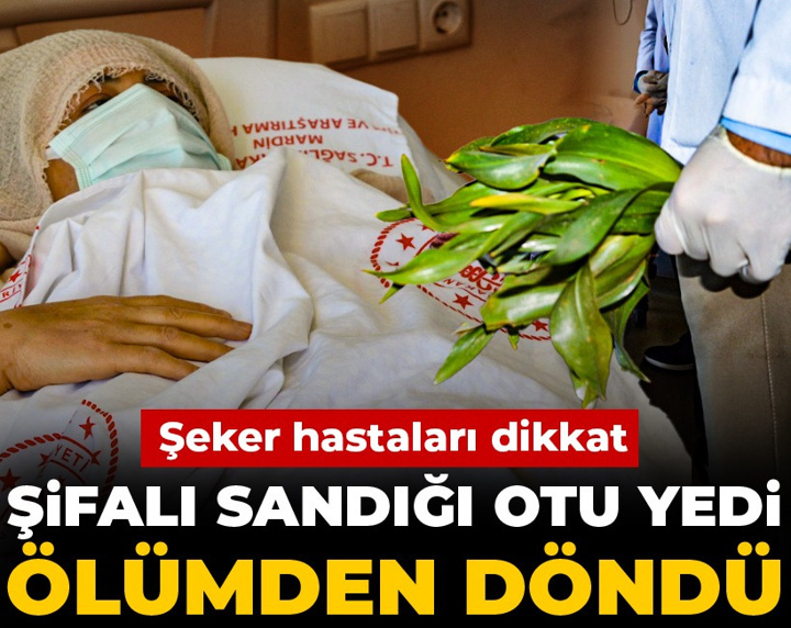 Şeker hastaları dikkat: Şifalı sandığı otu yedi, ölümden döndü
