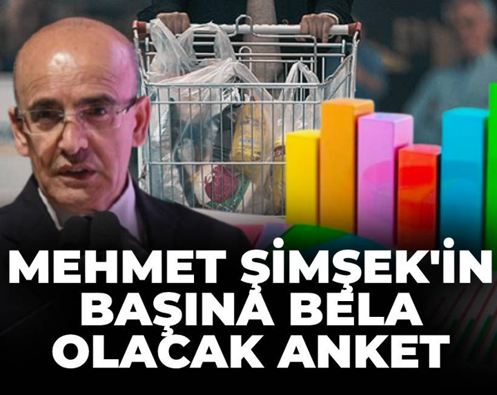 Mehmet Şimşek'in başına bela olacak anket sonuçları