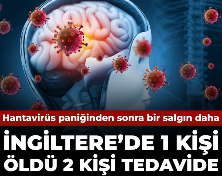 Hantavirüs paniğinden sonra bir salgın daha: İngiltere'de 1 kişi öldü 2 kişi tedavi altında