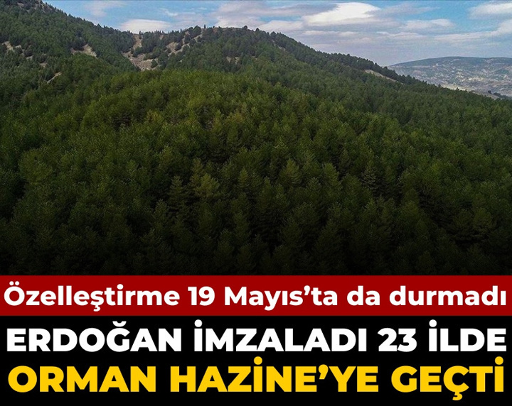 Özelleştirme 19 Mayıs'ta da durmadı: Erdoğan imzaladı 23 ilde orman Hazine'ye geçti