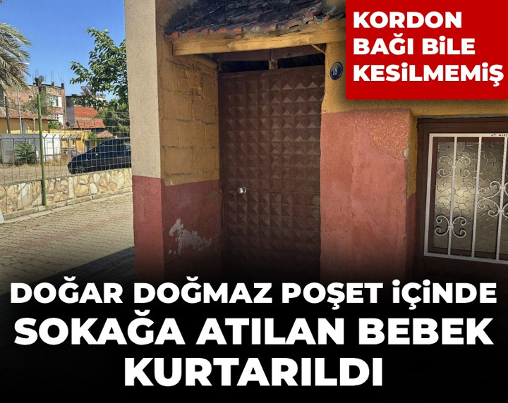 Kordon bağı bile kesilmemiş... Doğar doğmaz poşet içinde sokağa atılan bebek kurtarıldı