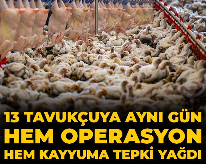 13 tavukçuya aynı gün hem operasyon hem kayyuma tepki yağdı