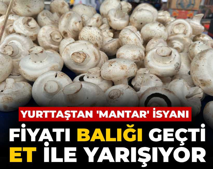 Fiyatı balığı geçti, et ile yarışıyor: Yurttaştan mantar isyanı!
