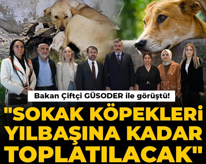 Son Dakika | Bakan Çiftçi: Yılbaşına kadar tüm sokak köpekleri toplatılacak