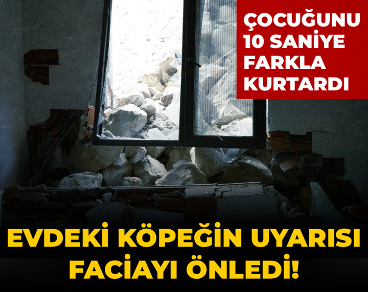 Evcil köpeğin uyarısı faciayı önledi! Çocuğunu 10 saniye farkla molozların arasından aldı