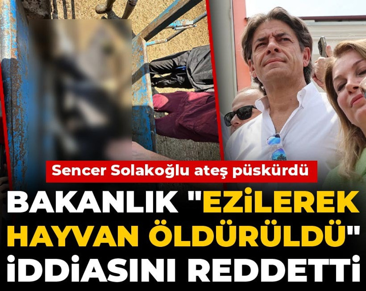 Bakanlık "ezilerek hayvan öldürüldü" iddiasını reddetti, Sencer Solakoğlu ateş püskürdü