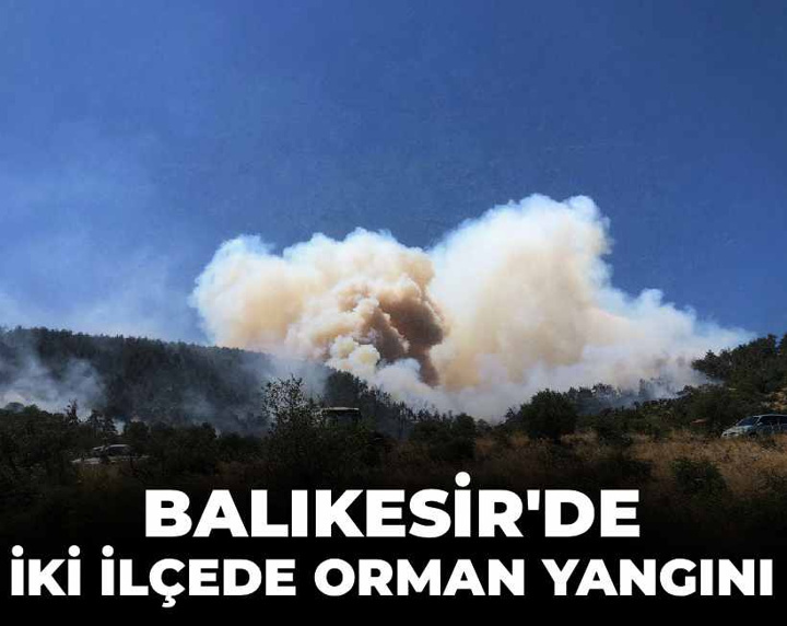 Son dakika | Balıkesir’de iki ilçede orman yangını
