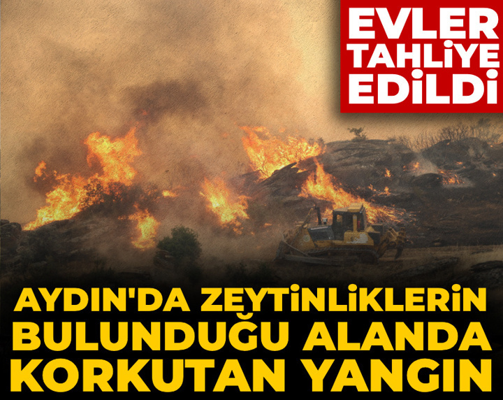 Aydın alevlere teslim! Belediye başkanından "su takviyesi" çağrısı