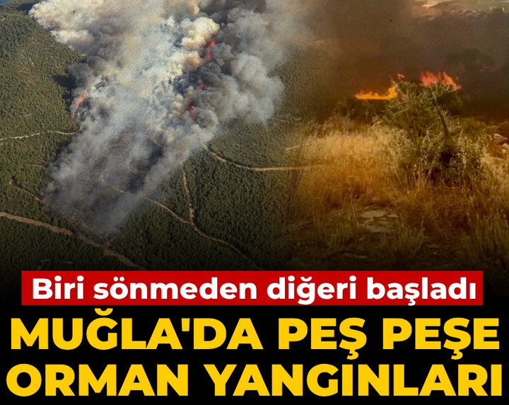 Muğla'da peş peşe orman yangınları: Biri sönmeden diğeri başladı