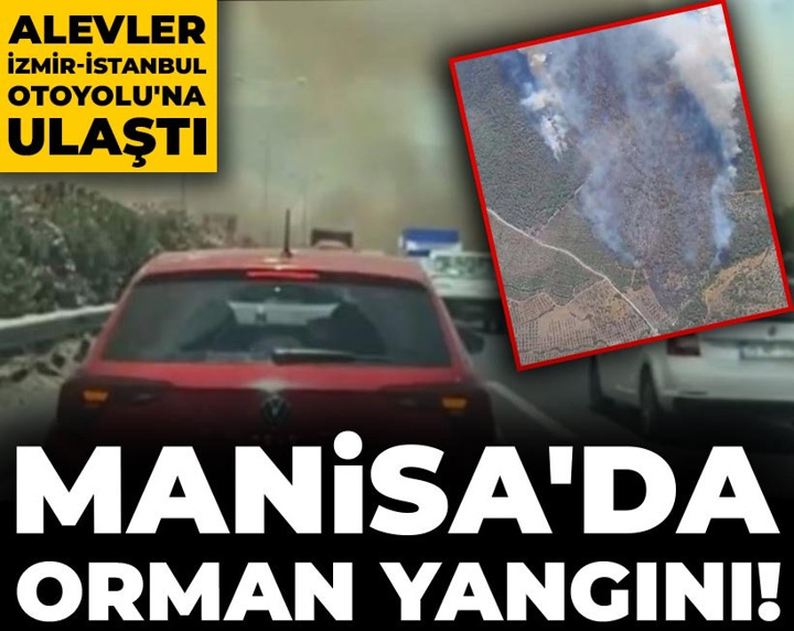 Manisa'da orman yangını çıktı! Alevler İzmir-İstanbul Otoyolu'na ulaştı