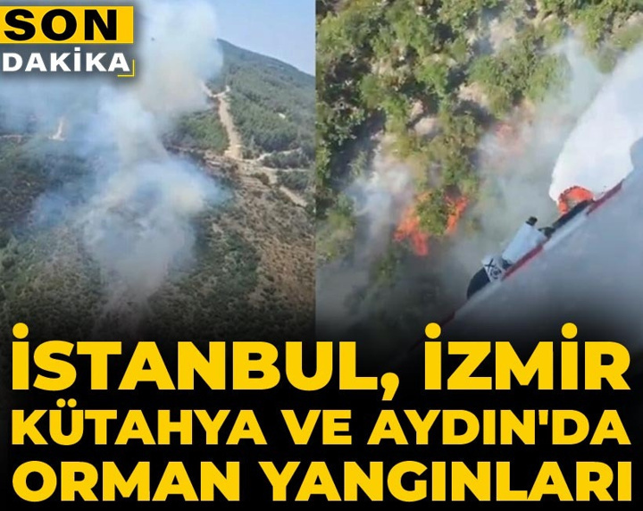 Son Dakika | İstanbul, İzmir, Kütahya ve Aydın'da orman yangınları