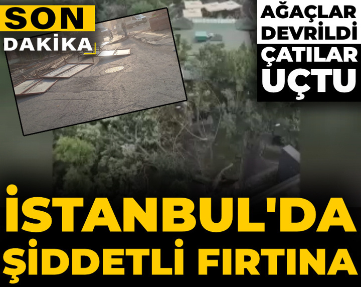 Son Dakika | İstanbul'da şiddetli fırtına: Ağaçlar devrildi