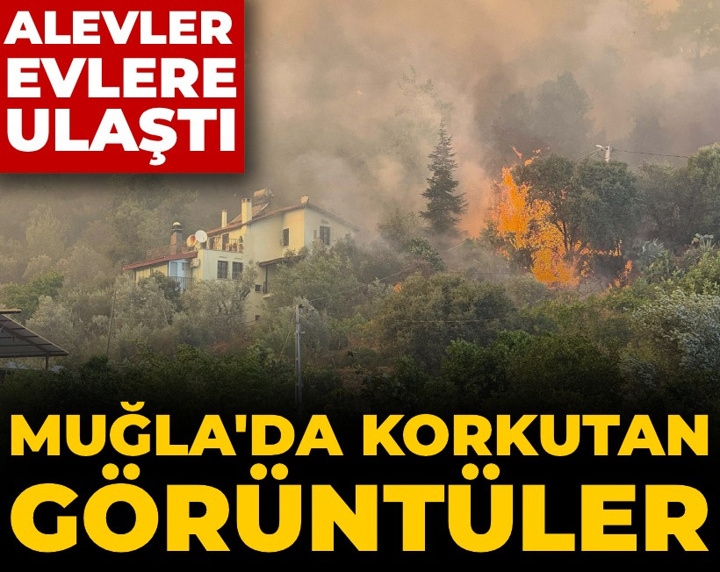 Son dakika | Beş ilde orman yangını: Antalya ve Muğla'dan korkutan görüntüler