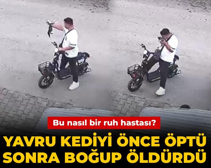 Bu nasıl bir ruh hastası? Yavru kediyi önce öptü sonra boğup öldürdü