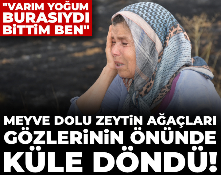 Meyve dolu zeytin ağaçları gözlerinin önünde küle döndü! "Varım yoğum burasıydı bittim ben"