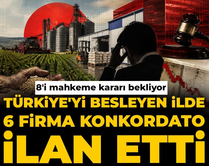 Türkiye'yi besleyen ilde 6 firma konkordato ilan etti: 8'i mahkeme kararı bekliyor