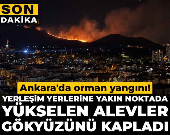 Son Dakika | Ankara'da orman yangını: Yerleşim yerlerine yakın noktada yükselen alevler gökyüzünü kapladı