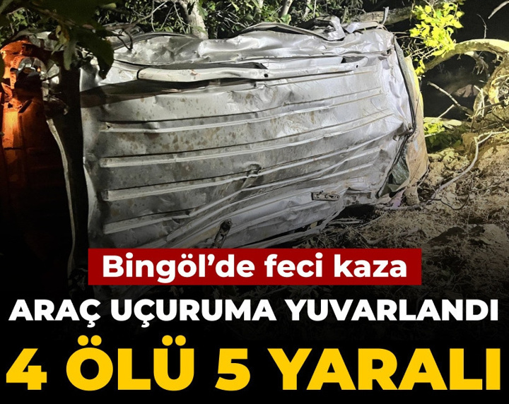 Bingöl'de feci kaza: Araç uçuruma yuvarlandı 4 ölü 5 yaralı