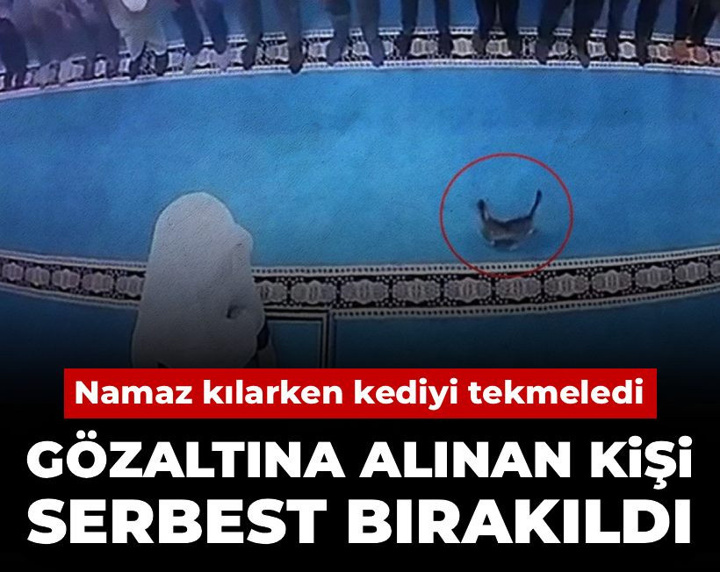 Camide namaz kılarken kediyi tekmeledi: Gözaltına alınan kişi serbest bırakıldı