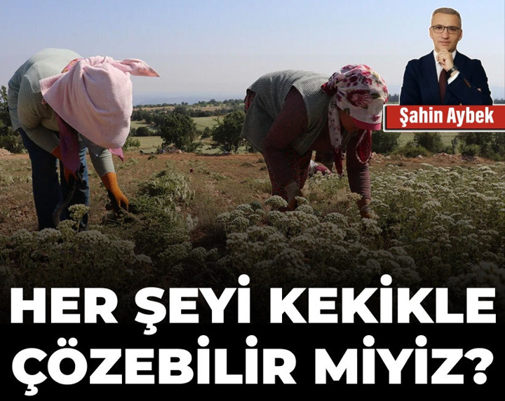 Her şeyi kekikle çözebilir miyiz?
