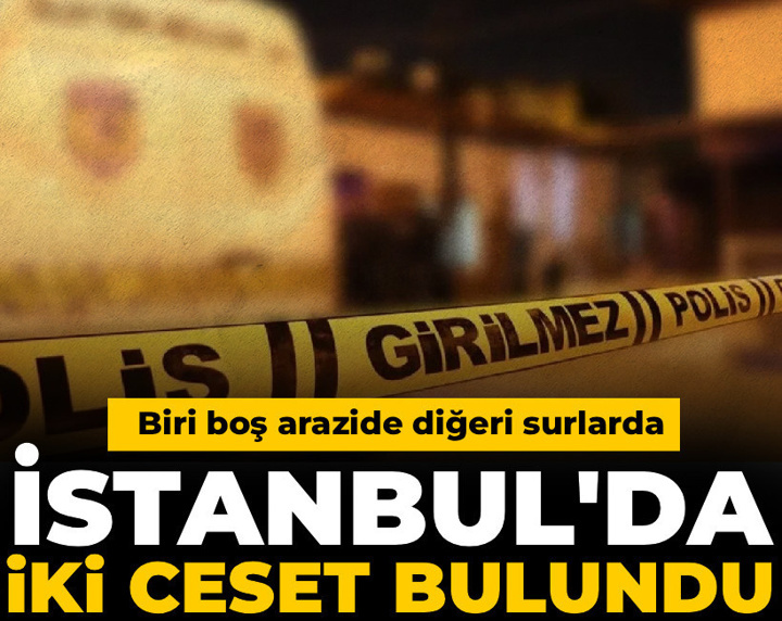 Biri boş arazide diğeri surlarda: İstanbul'da iki ceset bulundu