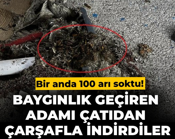 Bir anda 100 arı soktu! Baygınlık geçiren adamı çatıdan çarşafla indirdiler