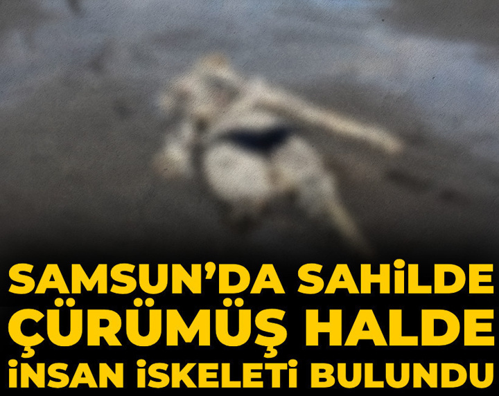 Samsun’da sahilde çürümüş halde insan iskeleti bulundu