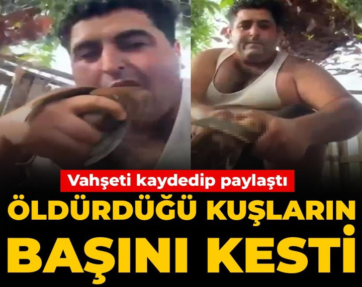 Öldürdüğü kuşların başını kesti: Vahşeti kaydedip paylaştı