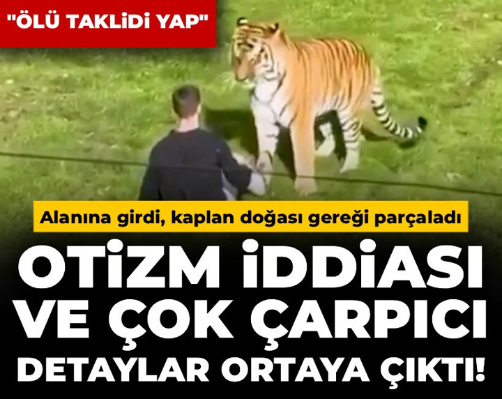 Alanına girdi, kaplan doğası gereği parçaladı: Otizm iddiası ve çok çarpıcı detaylar ortaya çıktı!