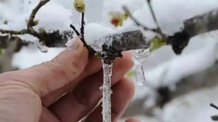 Meteoroloji Uyardı: Salı Gününe Kadar Devam Edecek! - Fotoğraf: 5