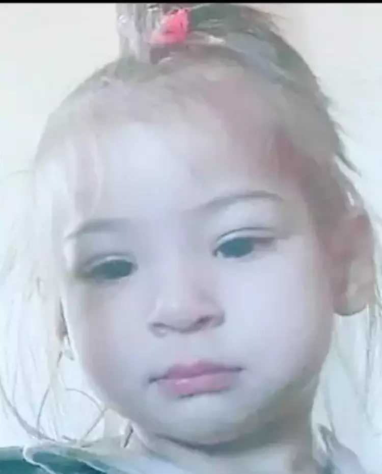 6662f0e3772bf8fed1642abc.webp