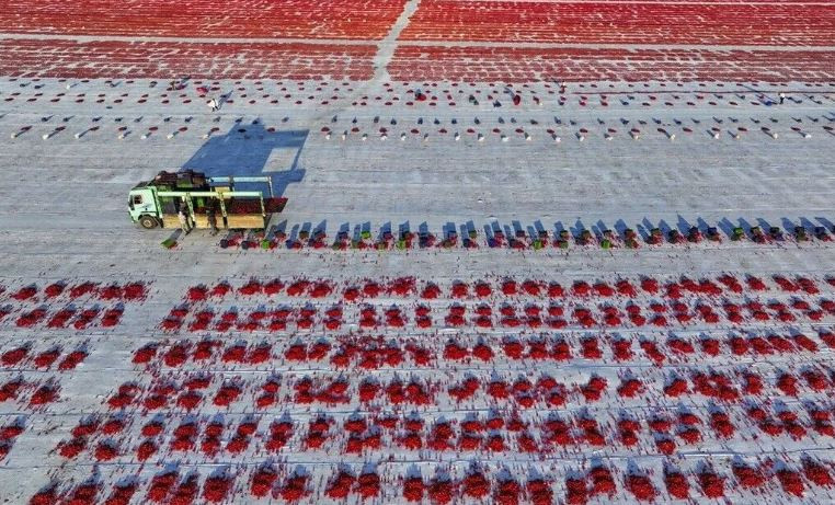 Akdeniz'den yola çıktı 91 ülkeyi fethetti! Türkiye'ye 6 ayda 60 milyon dolar kazandırdı - Resim : 2