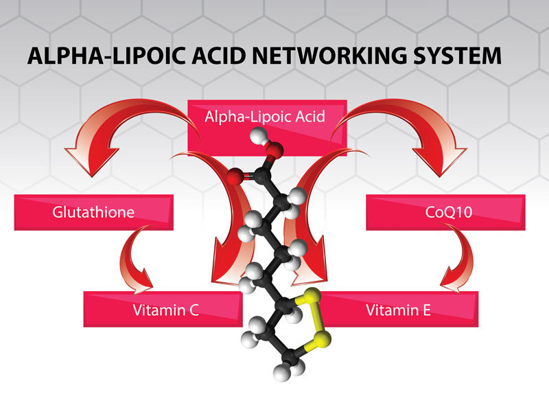 content-alpha-lipoic-acid.jpg
