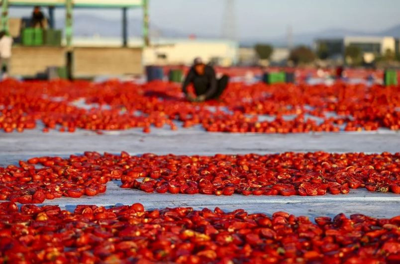 Akdeniz'den yola çıktı 91 ülkeyi fethetti! Türkiye'ye 6 ayda 60 milyon dolar kazandırdı - Resim : 3