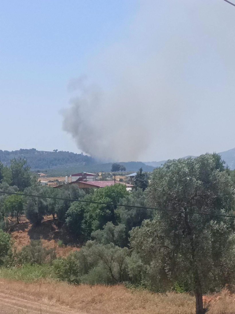 Son Dakika | Ege’de iki orman yangını! Çeşme Alaçatı ve Seydikemer'e ekipler peşpeşe gitti - Resim : 2