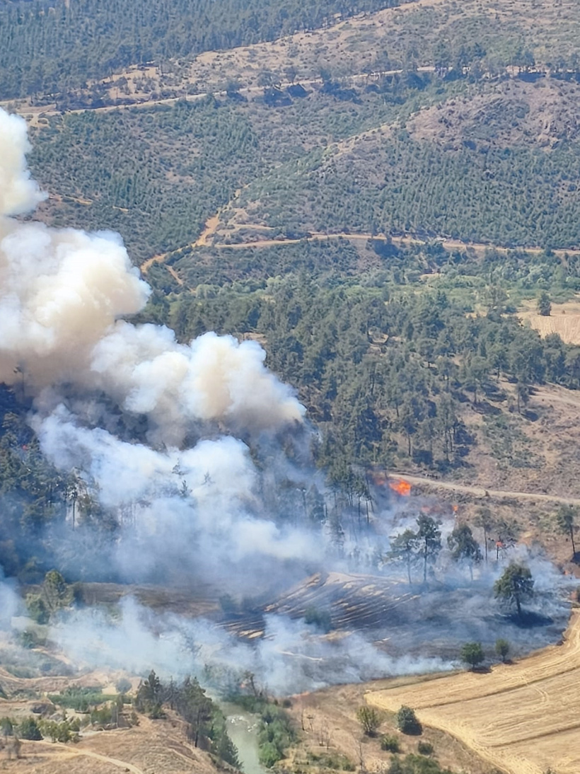 Son dakika | Bursa'da orman yangını: Rüzgar alevleri büyüttü - Resim : 1