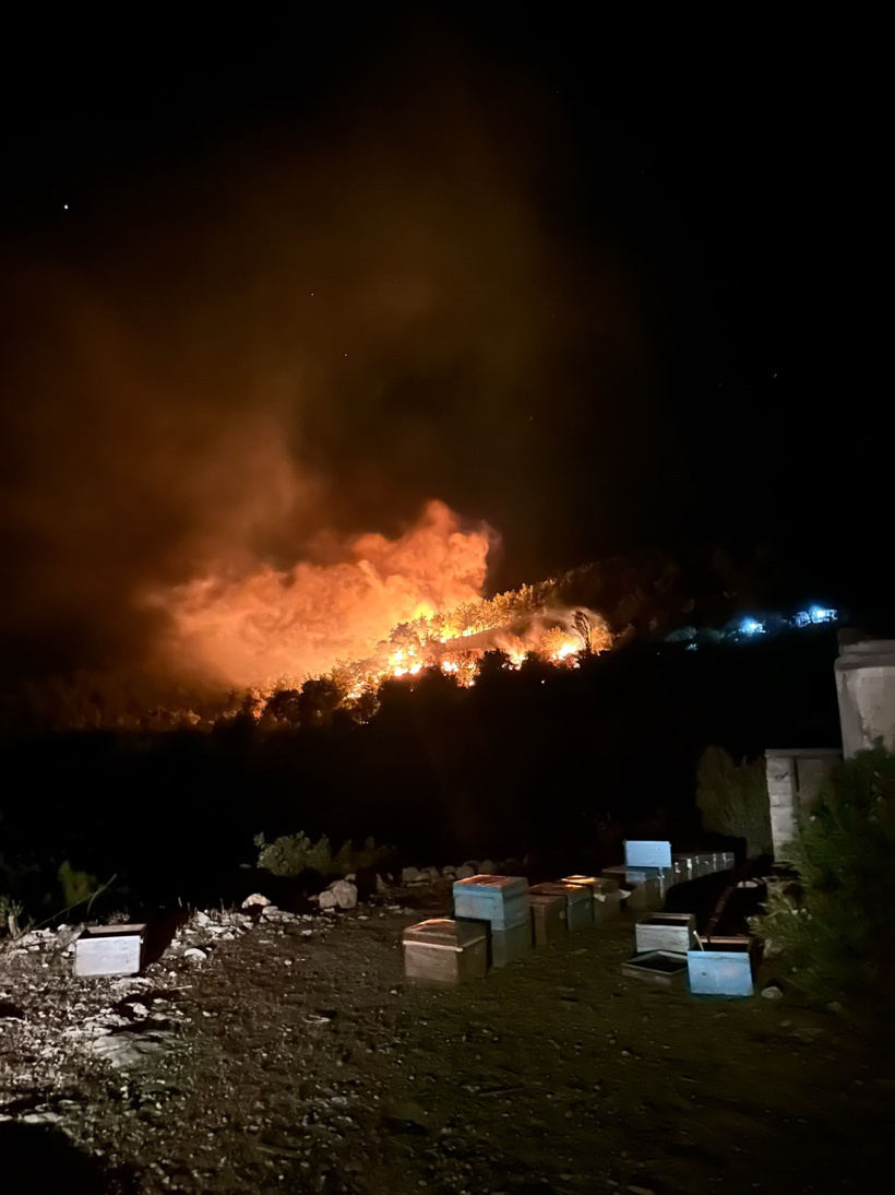 Bir kara haber de Adana'dan... 2 ayrı noktada orman yangını çıktı: yerleşim yerleri boşaltıldı - Resim : 3