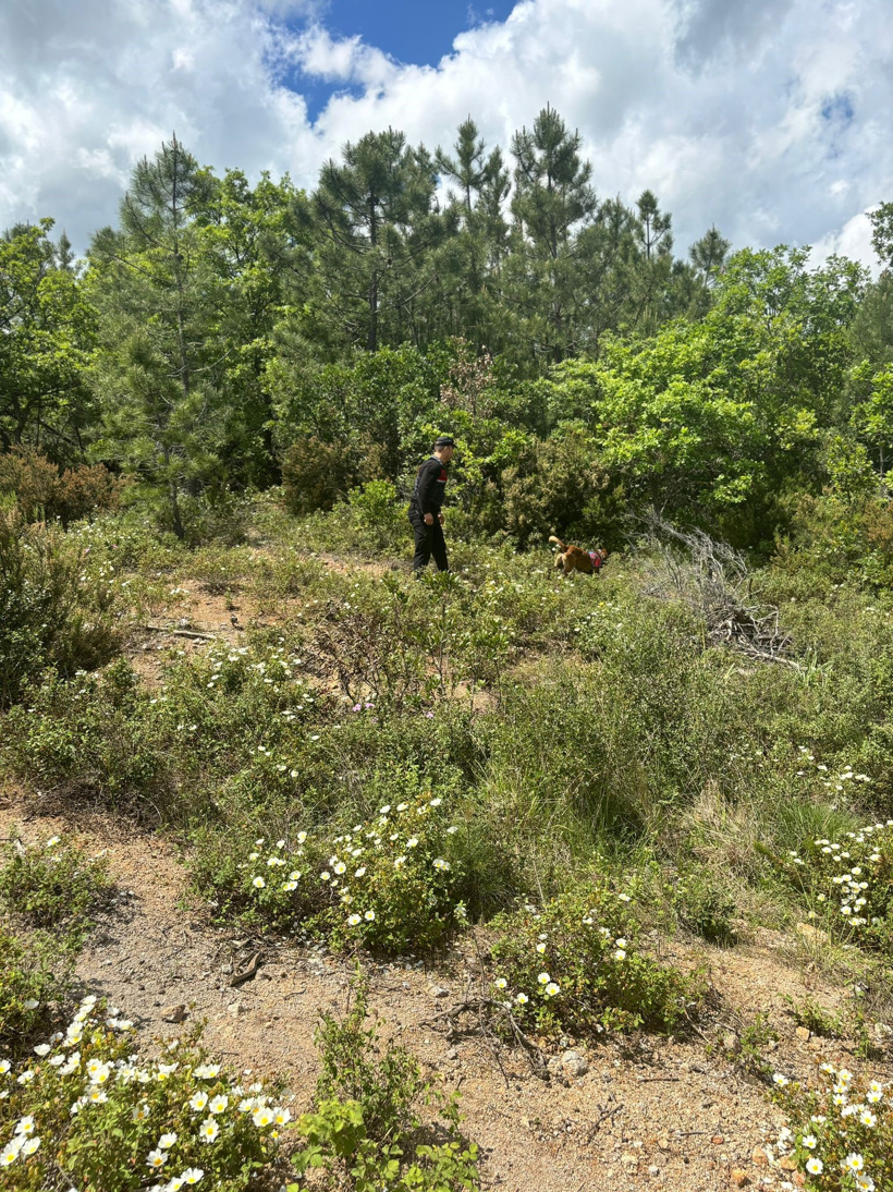 dha-46219-8.jpg