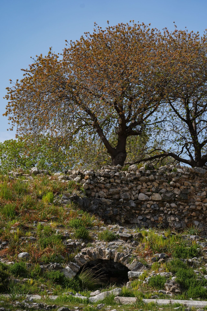 aa-20250401-37506831-37506811-antik-donemin-sanatcilar-kenti-teosta-tarihi-miras-ayaga-kaldiriliyor-min.jpg
