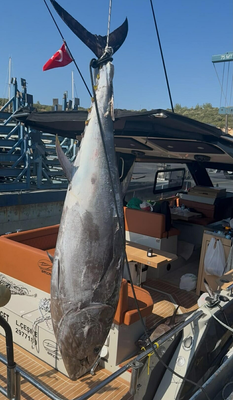 Boyu 2.8 metre, ağırlığı 260 kilo! Tekneye çıkarmak için 1 saat uğraştılar - Resim : 2