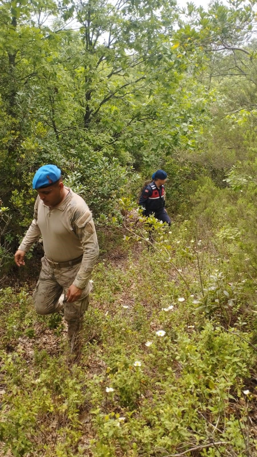 Korhan Berzeg'in Kafatası Aranıyor