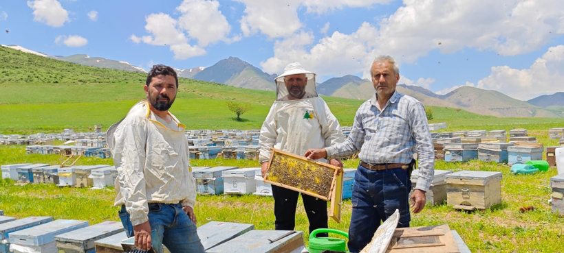 Bal veriminde altın yılını yaşayacak: Arılarını alıp o ilçeye koştu - Resim : 3