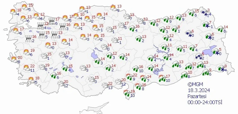 ejlyfv5x4ki11moj0imdbq.webp