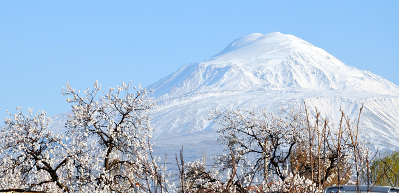 igdir-ovasi-cicek-acan-kayisi-agaclari-641328-190020.jpg