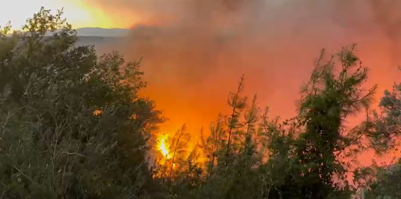 Bir kara haber de Adana'dan... 2 ayrı noktada orman yangını çıktı: yerleşim yerleri boşaltıldı - Resim : 1